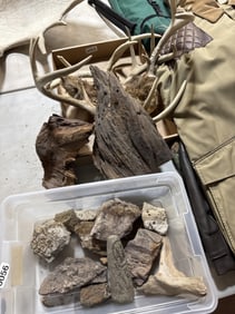 Mixed lot wood rocks - native Indian fossils ???