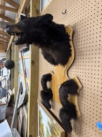 Bear wall mount head paws n feet