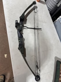 Barnett cross bow