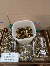 Brass Casings and Ammunition