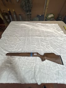 Benjamin Hardwood Rifle Stock