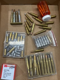 Ammunition and Components Assortment