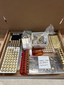 Ammunition and Brass Lot