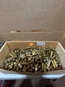.38 SPL Brass Casings