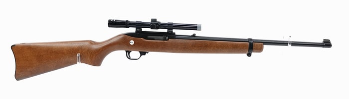 Ruger-Model10/22-Rifle-.22LR