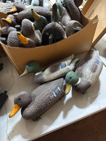 Flambeau Plastic Duck Decoys
