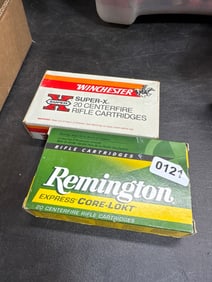 Rifle Long Gun Ammo: Remington & Winchester