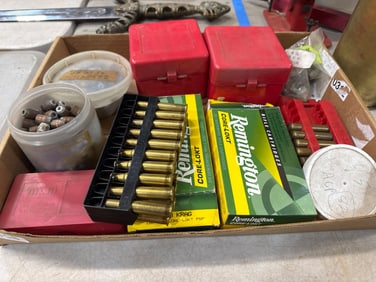 Bullets and Brass Lot With Cases