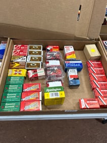 .22 Caliber Ammunition Lot