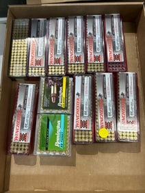 .22 LR Ammunition