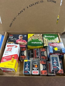 Ammunition in Various Sizes