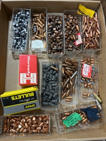 Ammunition Bullets