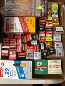 .22 Ammunition Lot