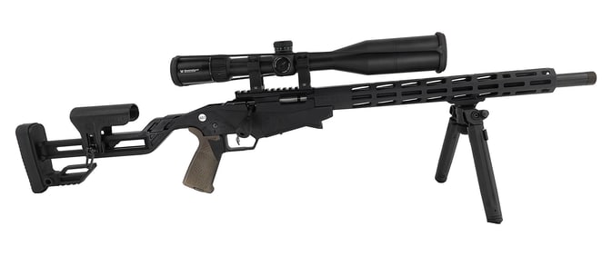 Ruger-Model:Ruger Precision-.22 LR-Rifle
