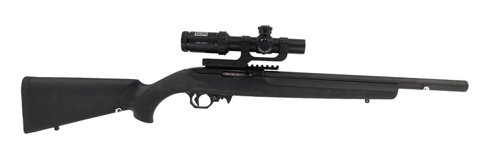 Ruger-Model:10/22-.22 LR-Rifle