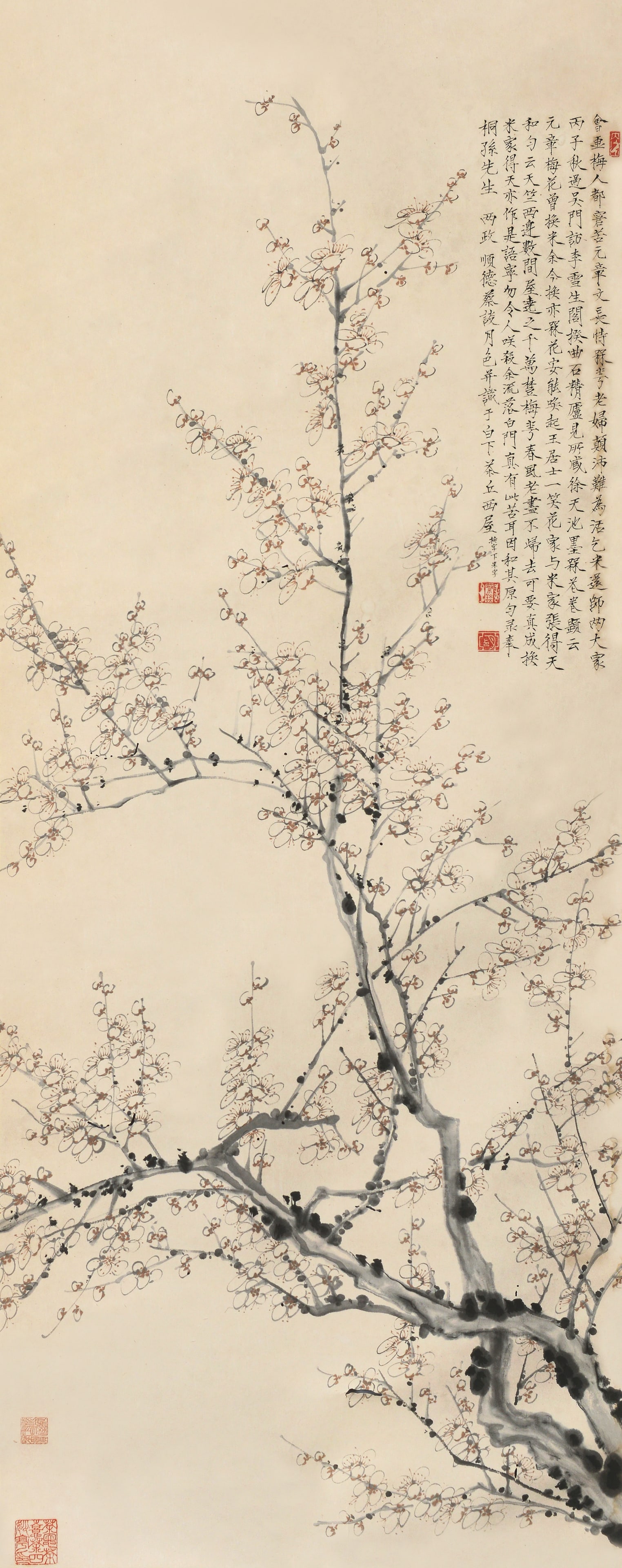 Plum Blossom,Tan Yue Se: Tan Yue Se