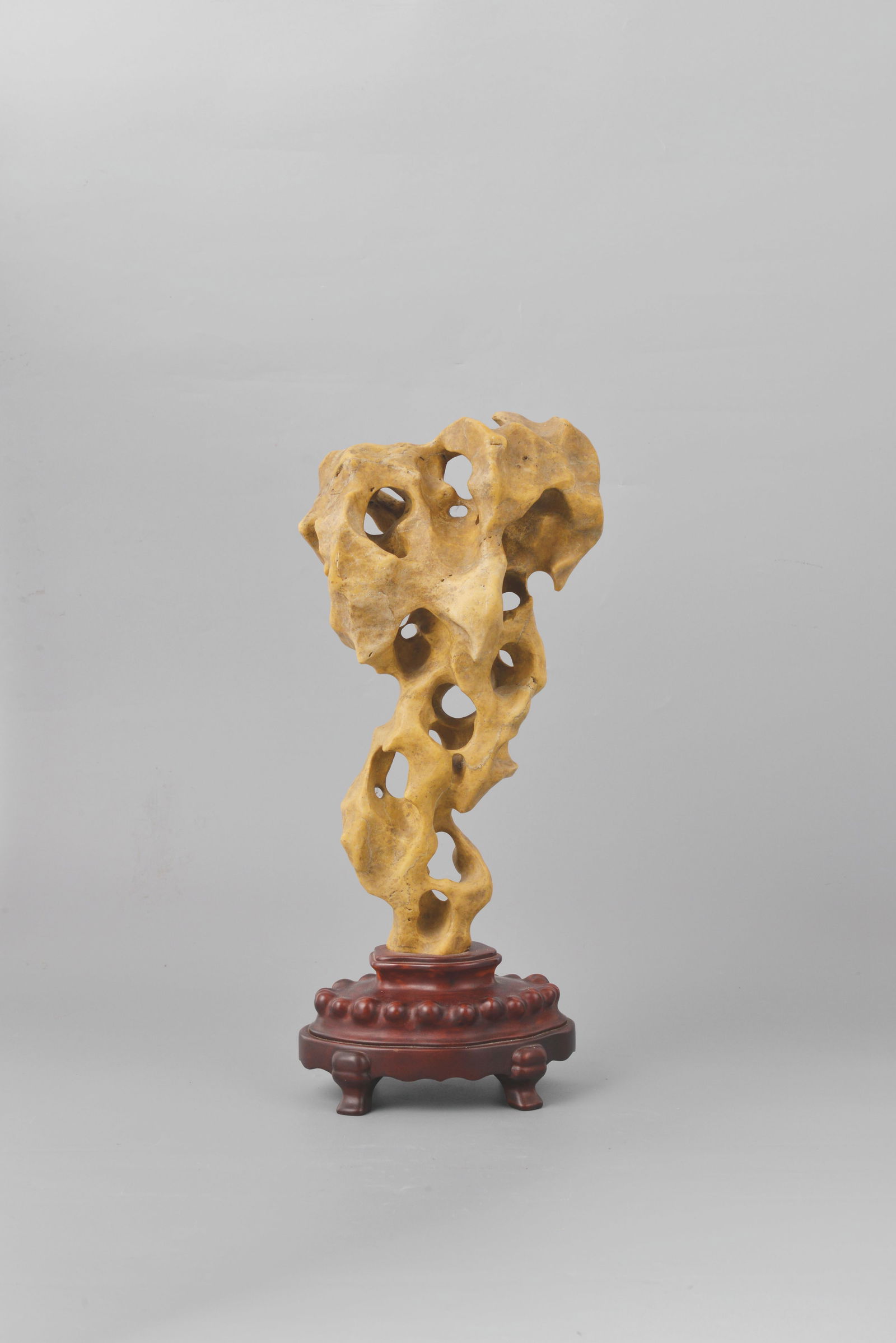 Taihu stone (porous stone) (1 of 7)