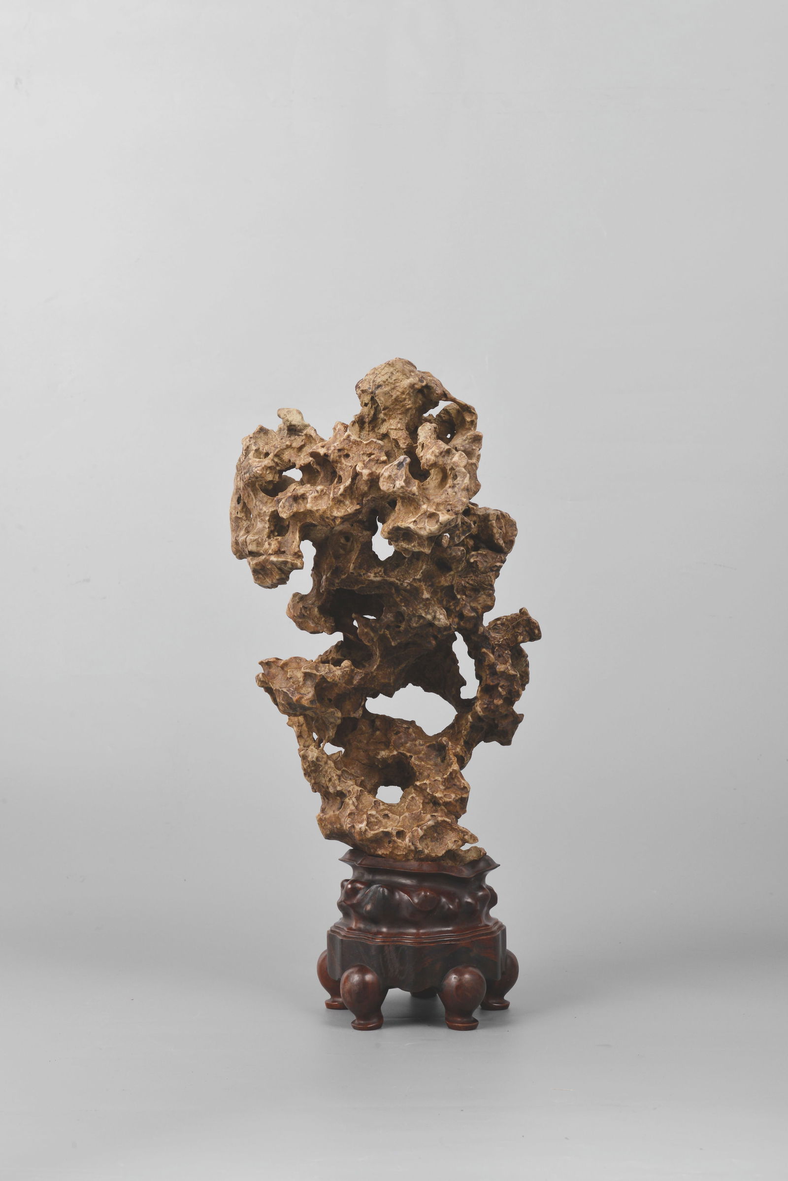 A Rock from Lake Ta: 清太湖石擺件