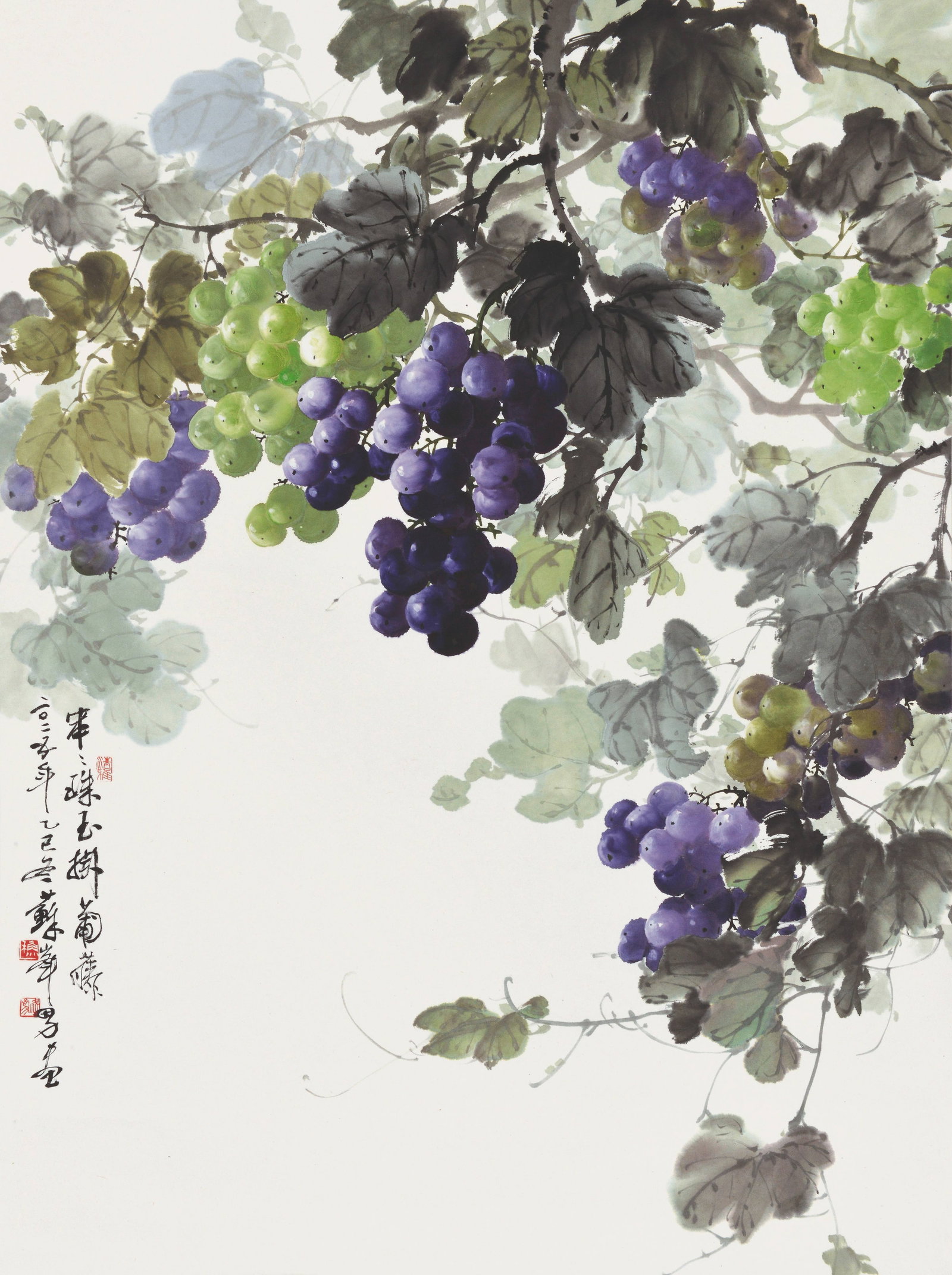 Grape,Su Feng Nan: 蘇峯男 珠玉高掛 款識：串串珠玉掛葡藤 ，二零二五年乙ð