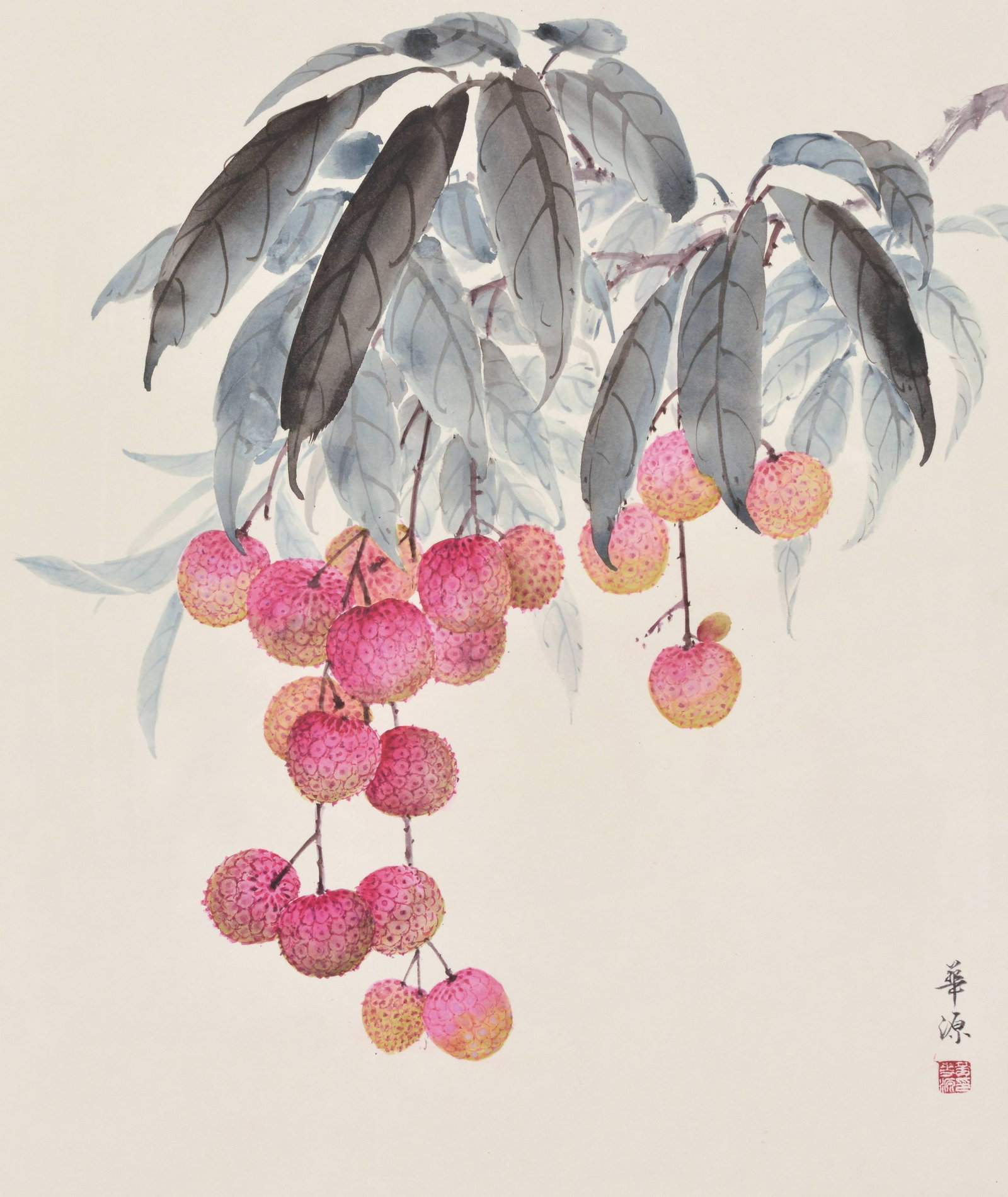 Lychee,Huang Hua Yuan: 黃華源 紅荔 款識：華源。 鈐印：黃華源印(白)