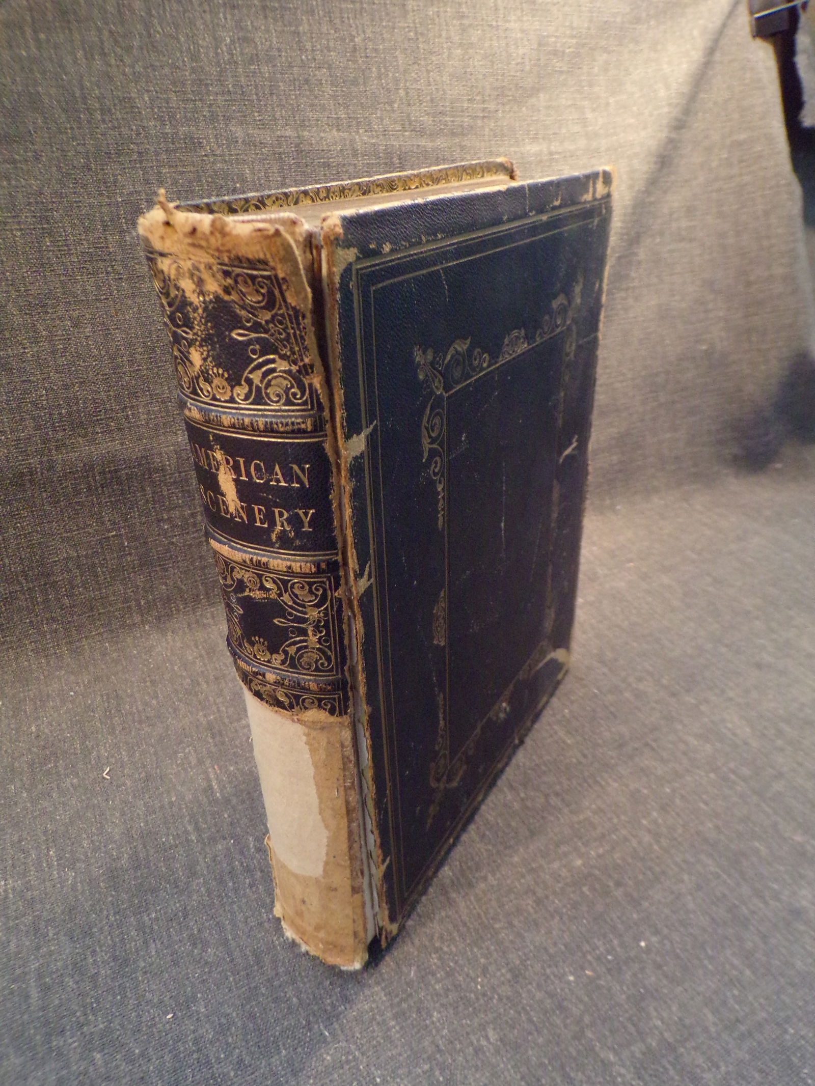 Circa 1840's - American Scenery; or, Land, Lake, and River Illustrations of Transatlantic Scenery. (1 of 8)