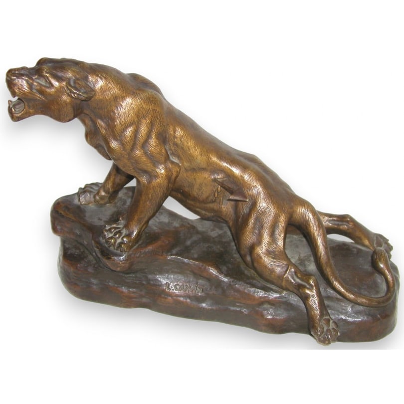 Bronze sculpture "Wounded Lioness" signed CARVIN: Sculpture "Wounded Lioness", in bronze, signed L CARVIN (Louis Albert 1875-1951)Origin: FrancePeriod: 19th centuryMaterials: BronzeDimensions: Ht 21 x 31 x 13 cm