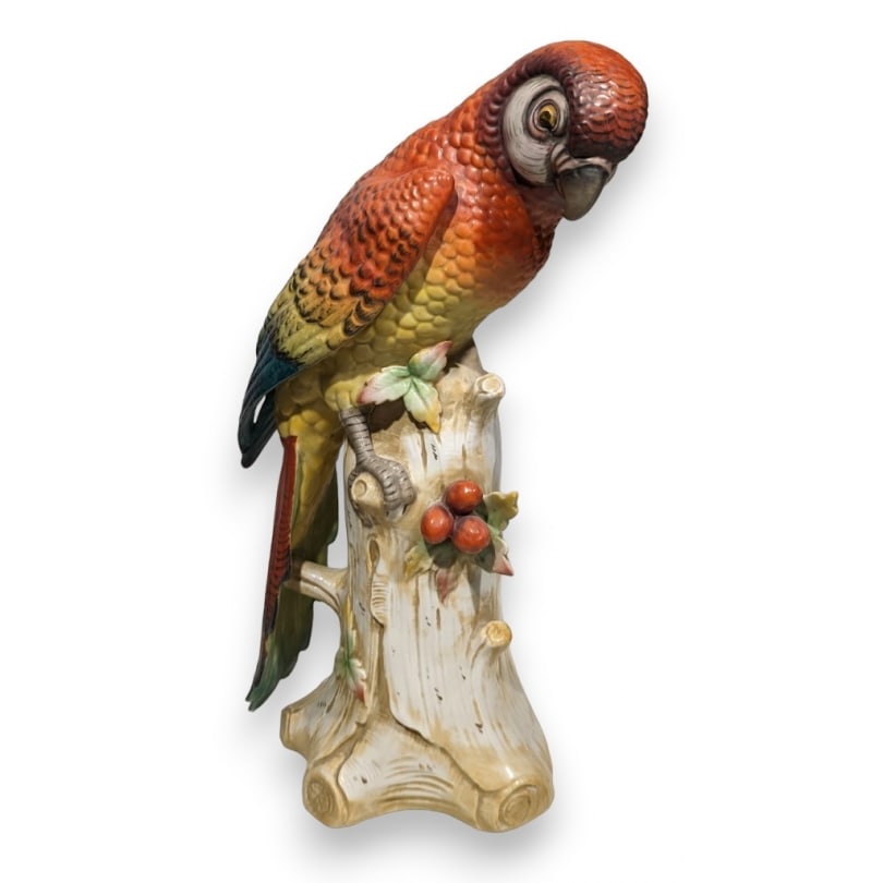 German 20th century Höchst porcelain parrot: Höchst porcelain macaw parrotOrigin: GermanyPeriod: 20th centuryMaterials: PorcelainDimensions: Ht 36 x 22 x 12 cm
