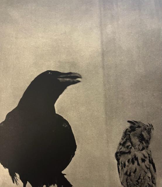 Jim Dine "Black and Owl, 2000" Print. (1 of 6)