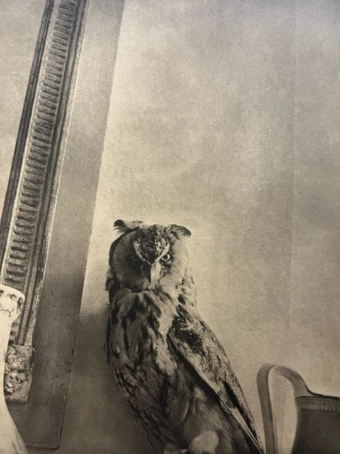 Jim Dine "Self in the Mirror, 2000" Print. (1 of 6)