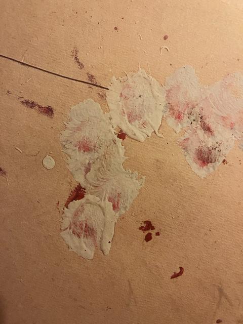 Cy Twombly "Untitled" Print. (1 of 6)