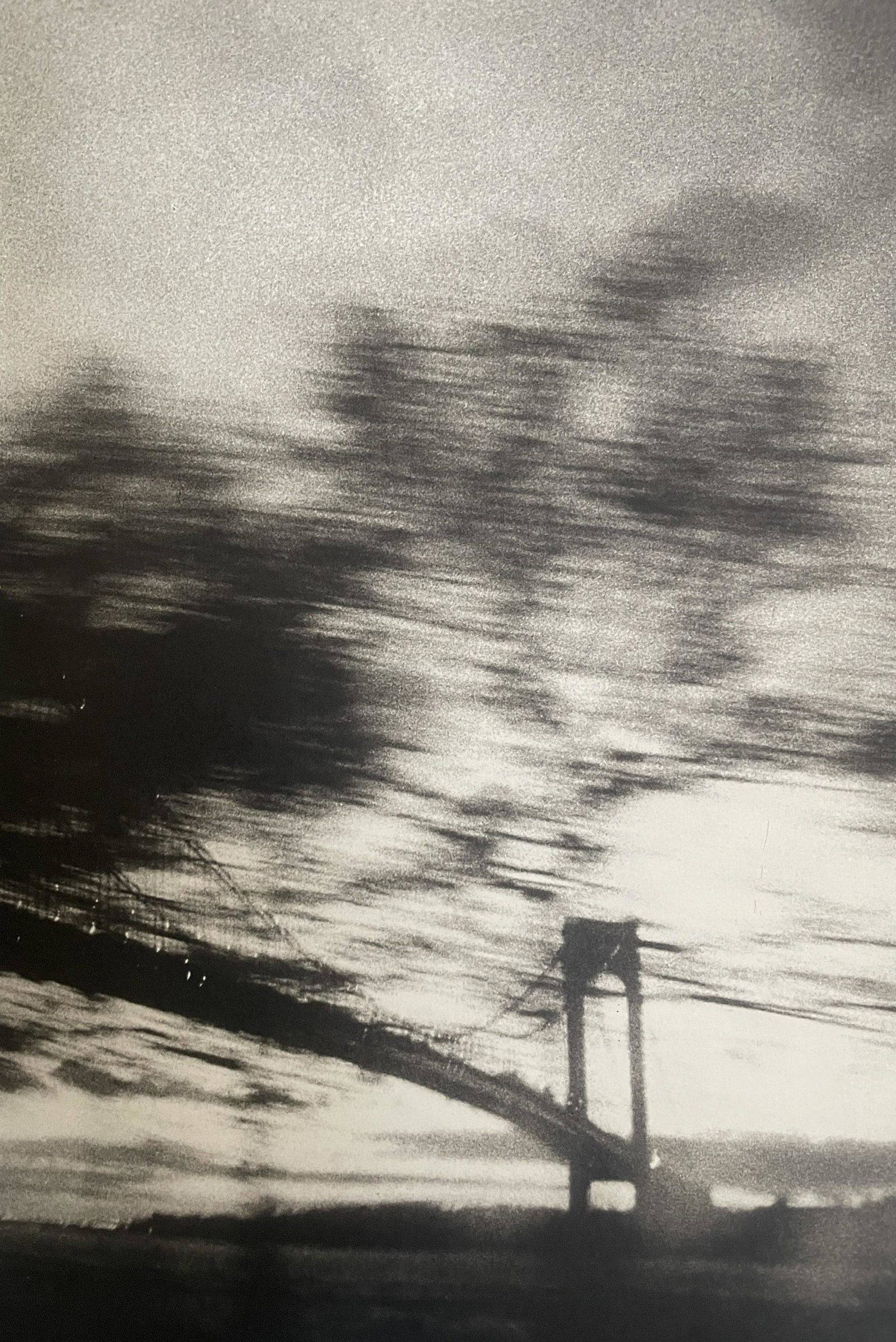 Daido Moriyama "Brooklyn Bridge" Print (1 of 6)