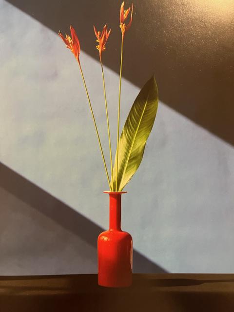 Robert Mapplethorpe "Flowers" Print.: Robert Mapplethorpe was an American photographer known for his controversial and provocative images that explored themes of sexuality, gender, race, and the human form. He was born on November 4, 1946