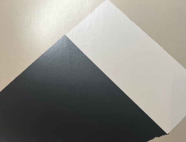 Ellsworth Kelly "Dark Grey and White" Print. (1 of 6)