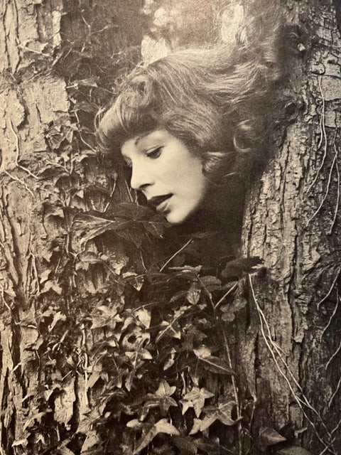 Cecil Beaton "Lily Tosch" Print.: Cecil Beaton (1904-1980) was a renowned English photographer, costume designer, and stage and film designer. He is widely recognized for his exceptional talent and contributions in the fields of fashi