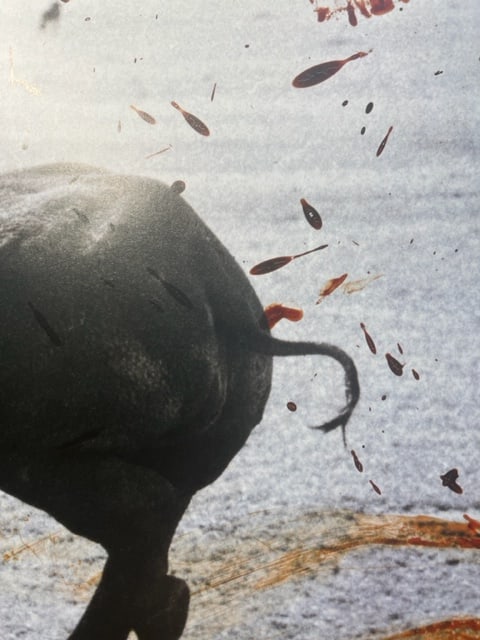 Peter Beard "Untitled" Print.: Peter Beard (1938-2020) was an American artist, photographer, and writer known for his unique style of combining photography, collage, and text. He was born in New York City and developed a passion fo