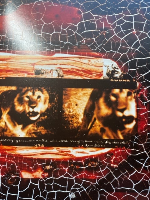 Peter Beard "Untitled" Print. (1 of 6)