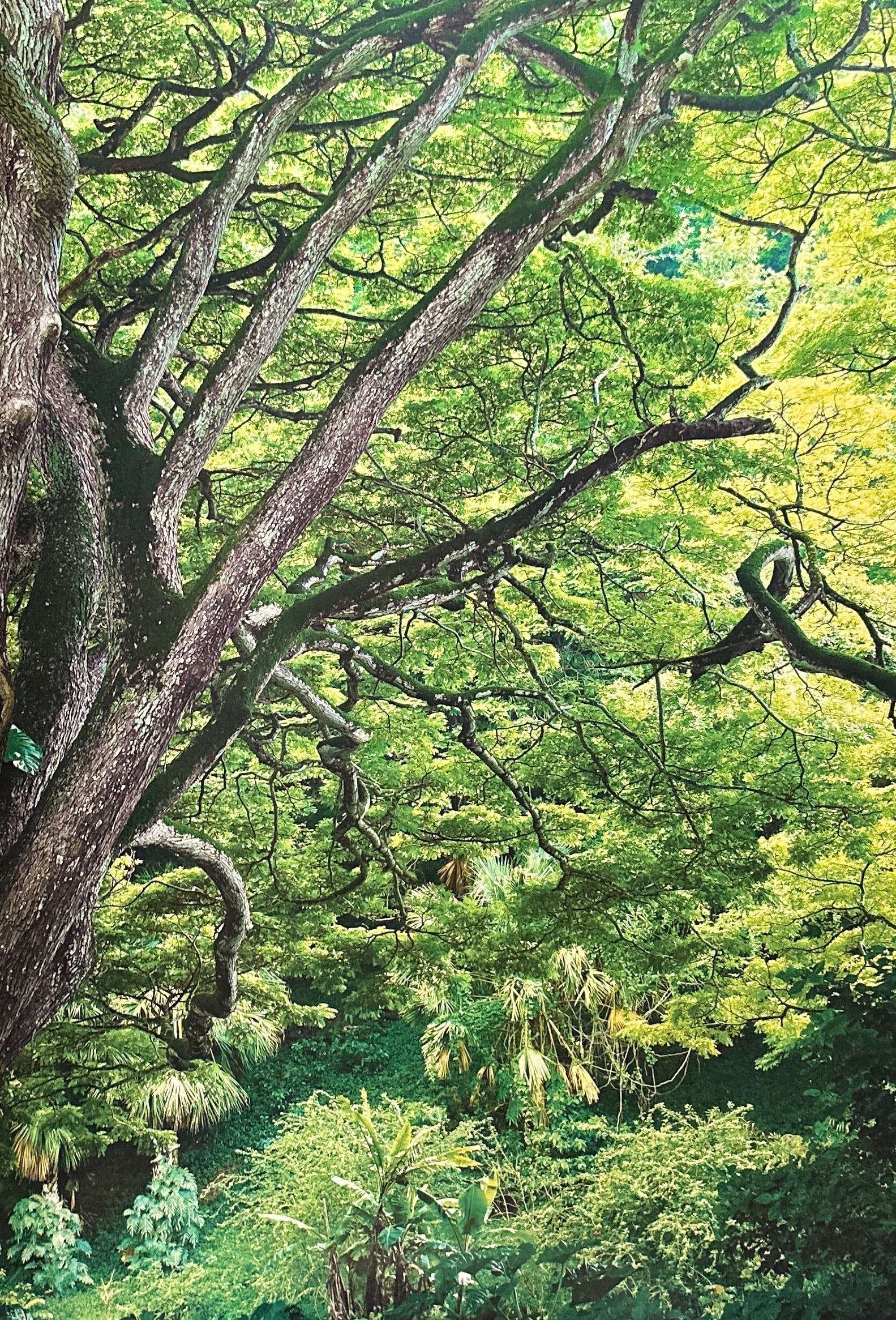 Robert Longo "Untitled" Offset Lithograph: Robert Longo, a prominent American artist known for his large-scale drawings, sculptures, and multimedia works, has made significant contributions to contemporary art with his powerful and thought-pro