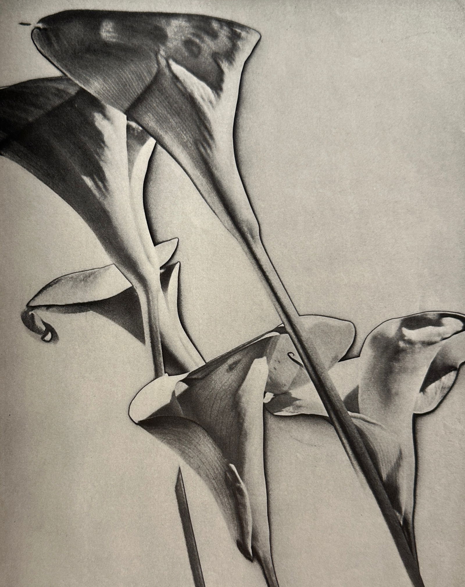 Man Ray "Untitled" Print. (1 of 6)