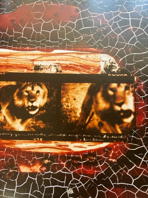 Peter Beard "Untitled" Print.: Peter Beard (1938-2020) was an American artist, photographer, and writer known for his unique style of combining photography, collage, and text. He was born in New York City and developed a passion fo