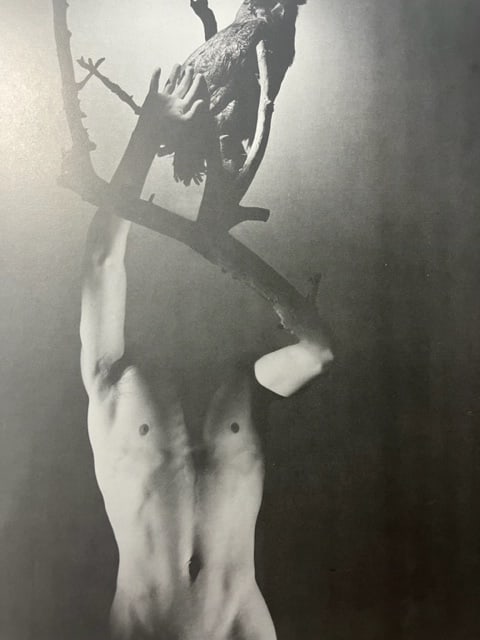 George Platt Lynes "Ascalphus" Print.: George Platt Lynes (1907-1955) was an American photographer known for his groundbreaking work in the fields of fashion and portraiture. Born on April 15, 1907, in East Orange, New Jersey, Lynes initia