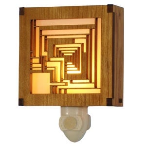 Frank Lloyd Wright Light (1 of 1)