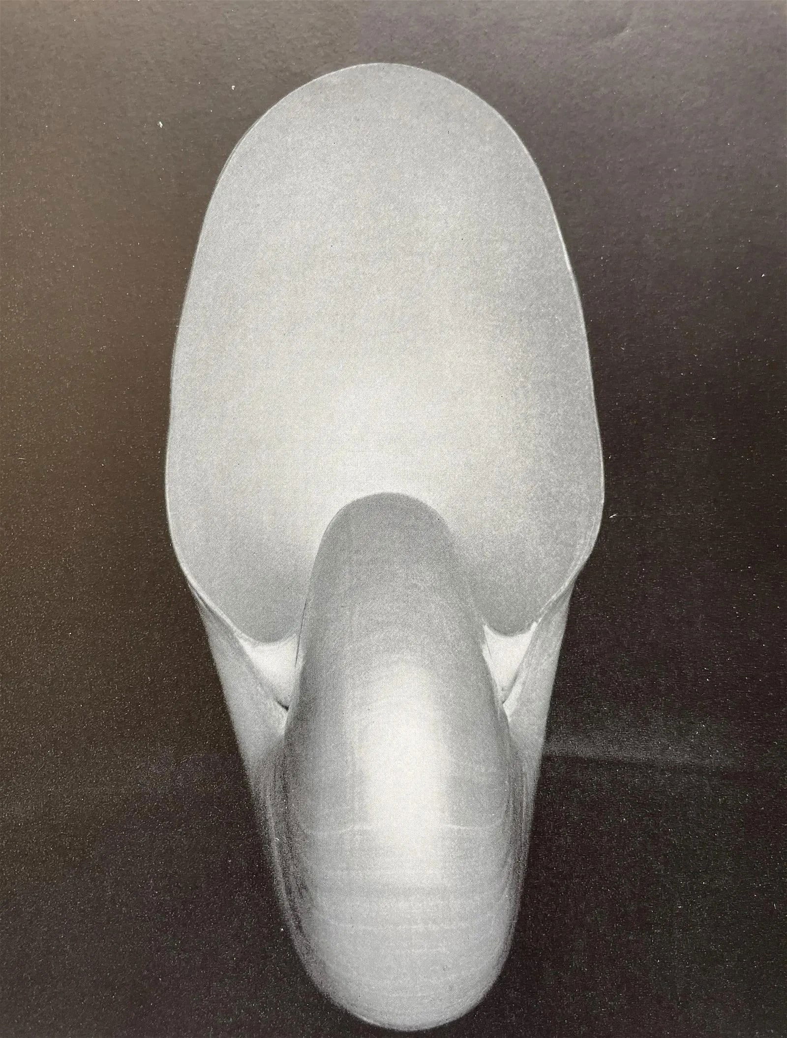 Edward Weston "Shell, 1927" Print (1 of 6)