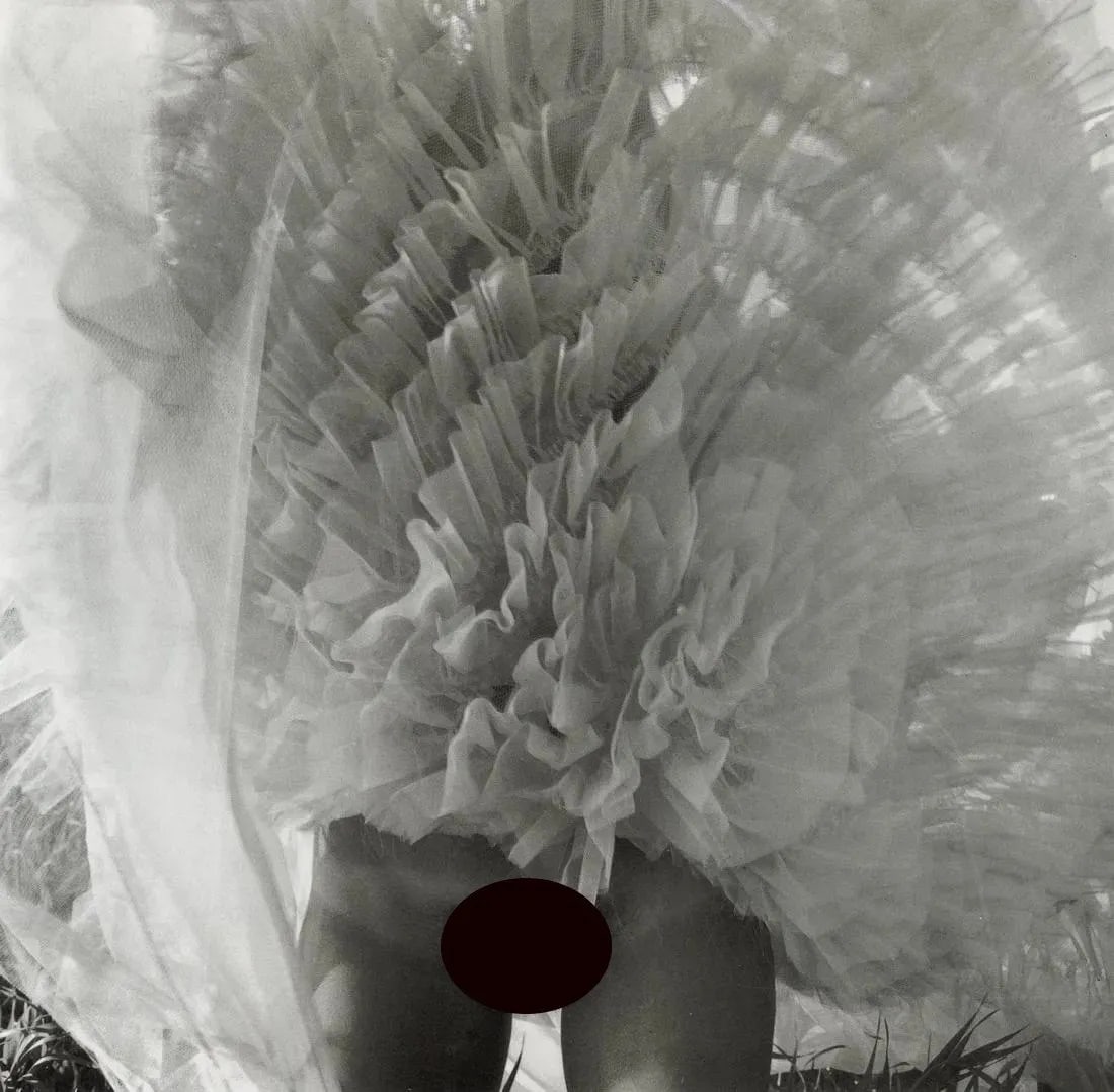 SANDI FELLMAN -"From the Series "Secrets", 1977"Print: Sandi Fellman is an American photographer known for her work in the fields of still life and fine art photography. She was born in 1950 and has produced a wide range of photographic projects throughou