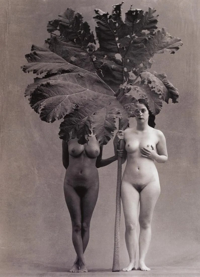 FLOR GARDUNO "Eden, Suiza, 2001" Print (1 of 1)