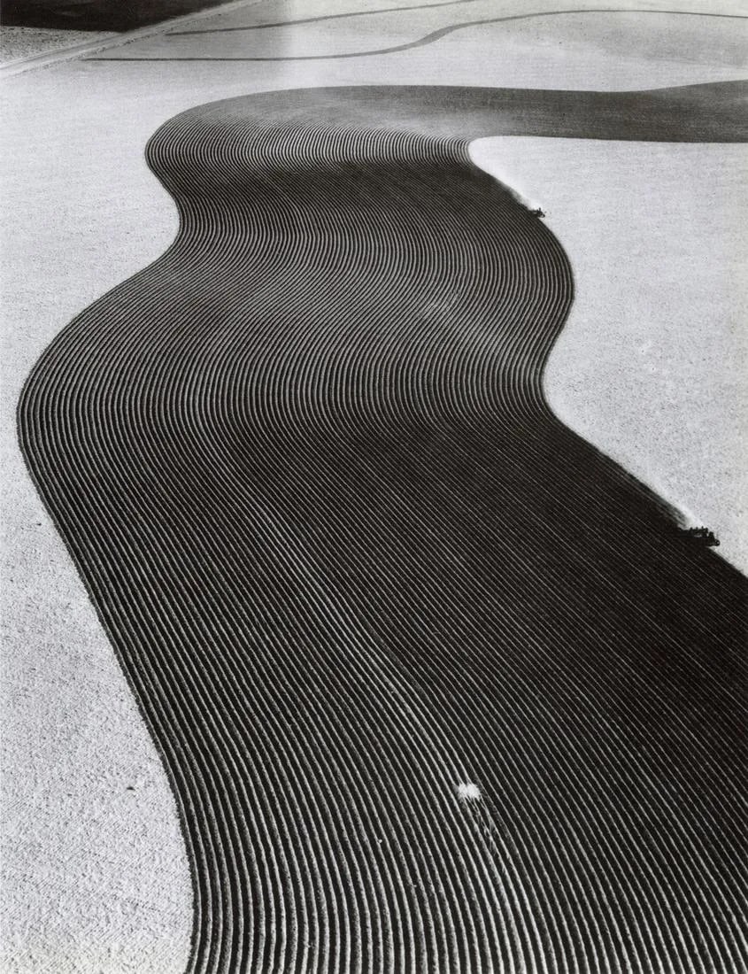 MARGARET BOURKE-WHITE "Contour Plowing, 1954" Print (1 of 1)