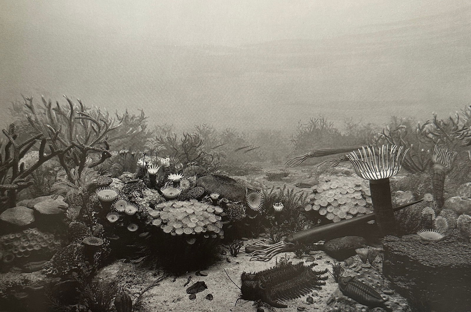 Hiroshi Sugimoto "Untitled" Print. (1 of 6)