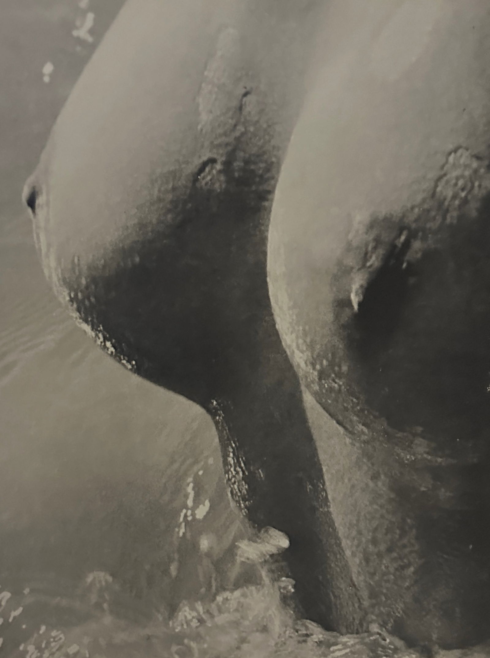 Lucien Clergue "Untitled" (1 of 5)