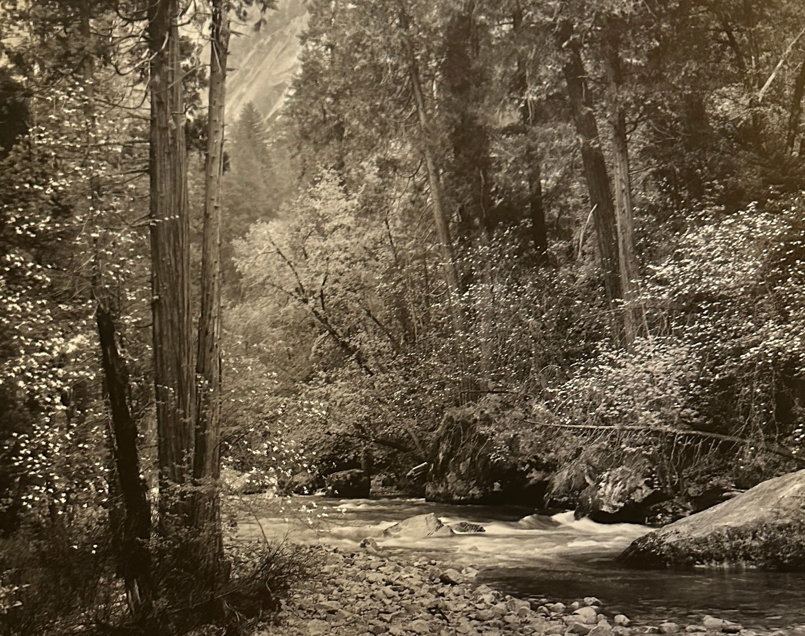 Ansel Adams "Tenaya Creek" Print (1 of 6)