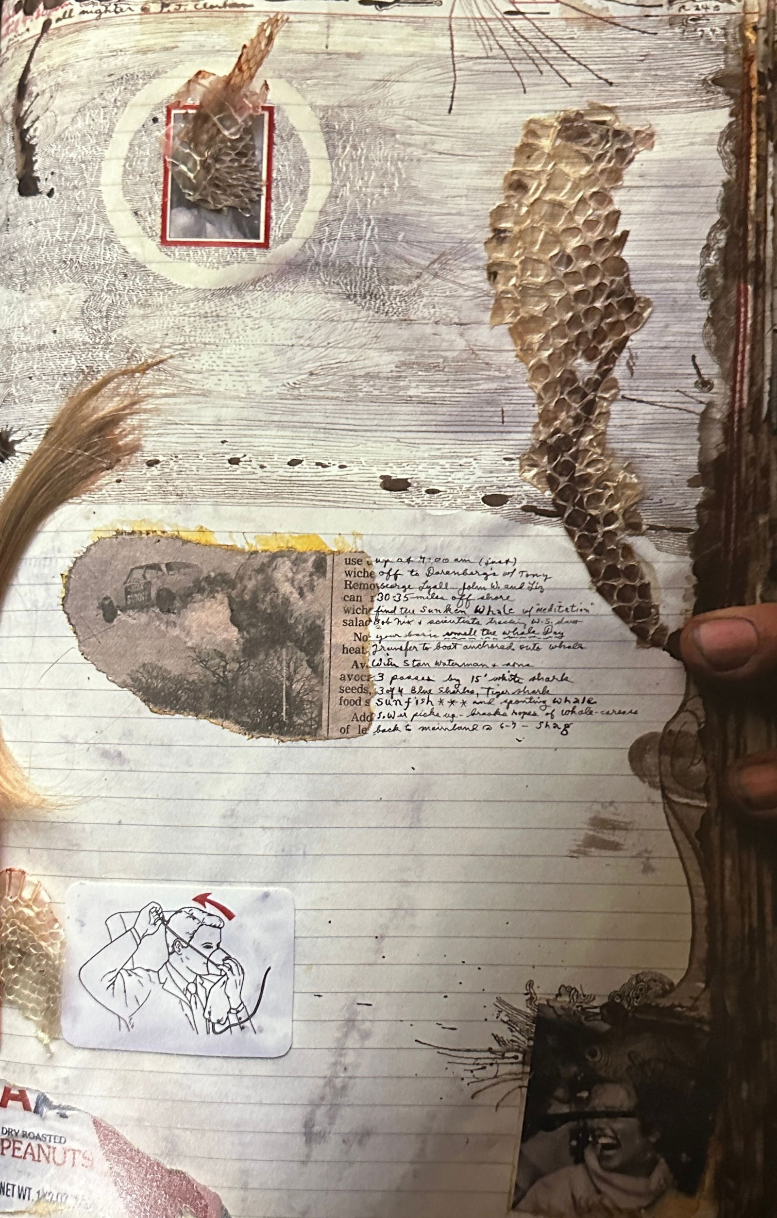 Peter Beard "Untitled" Print: Peter Beard (1938-2020) was an American artist, photographer, and writer known for his unique style of combining photography, collage, and text. He was born in New York City and developed a passion fo