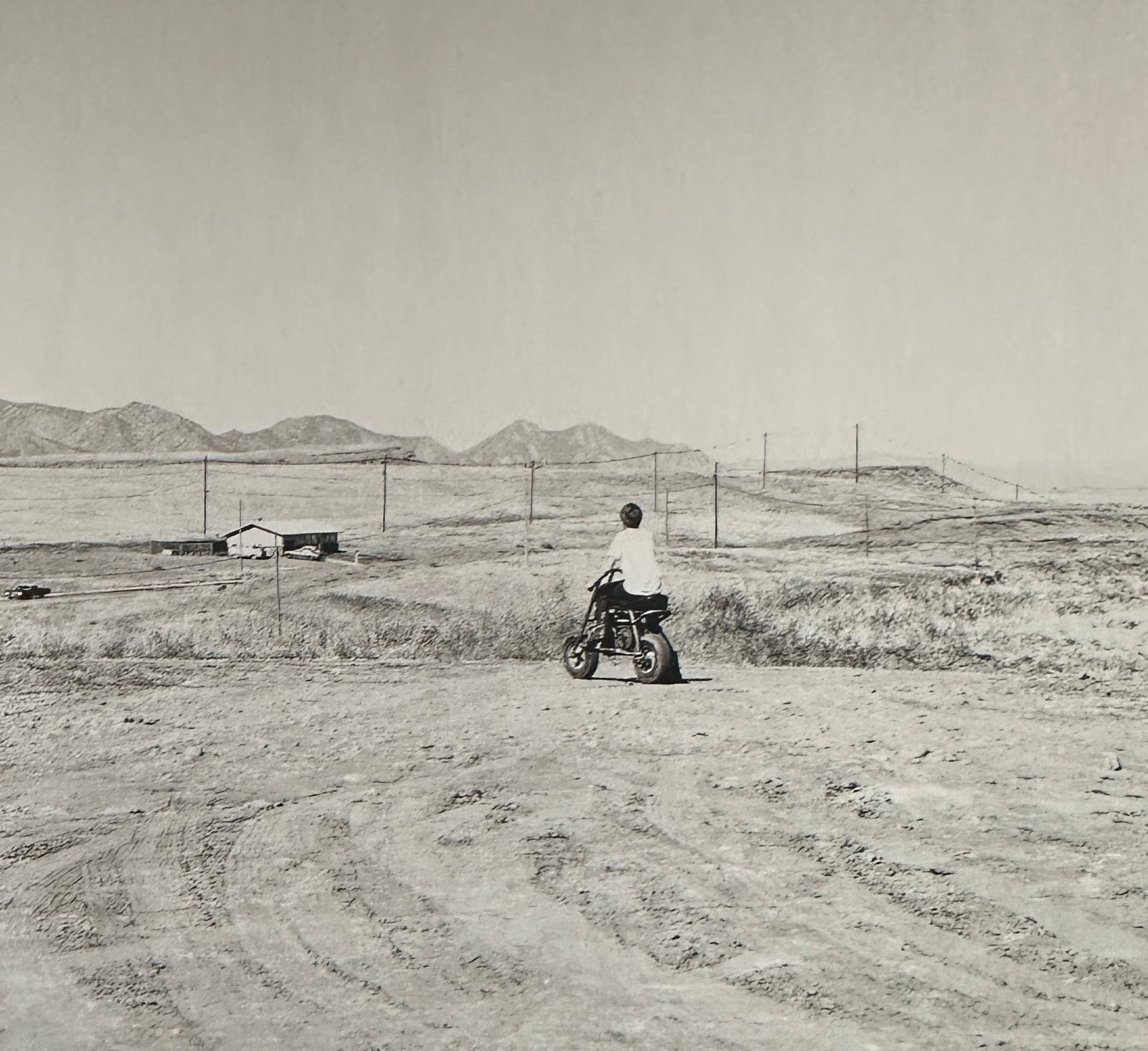 Robert Adams "Untitled" Print.: Robert Adams (1937-1997): Robert Adams was an American photographer who is known for his black-and-white photographs of the American West, particularly the landscapes of Colorado and Oregon. His work